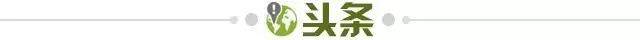 1769902951023037801.jpg 头条.jpg